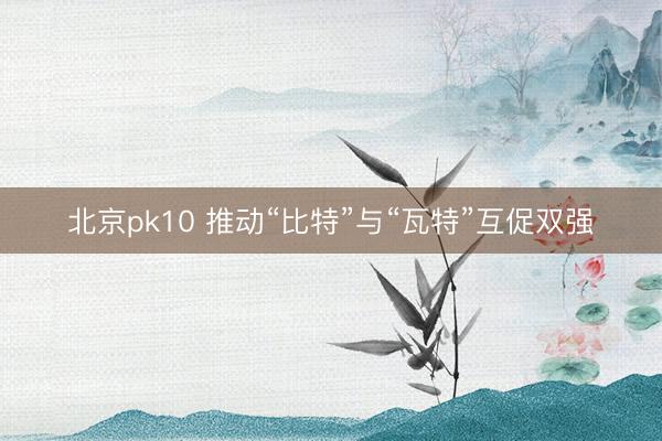 北京pk10 推动“比特”与“瓦特”互促双强